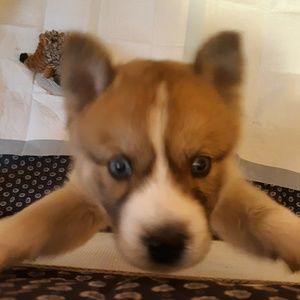 Meet your Posher, Kristie